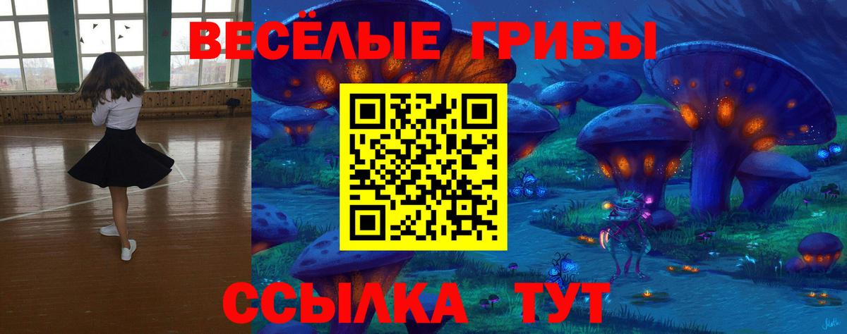 Медногорск  Галлюциногенные грибы Magic Shrooms  Вход с VPN 